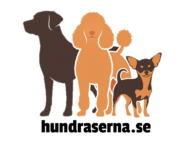 Hundraserna